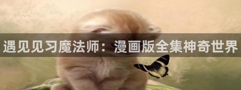 喵趣漫画为什么用不了了：遇见见习魔法师：漫画版全集神奇世界