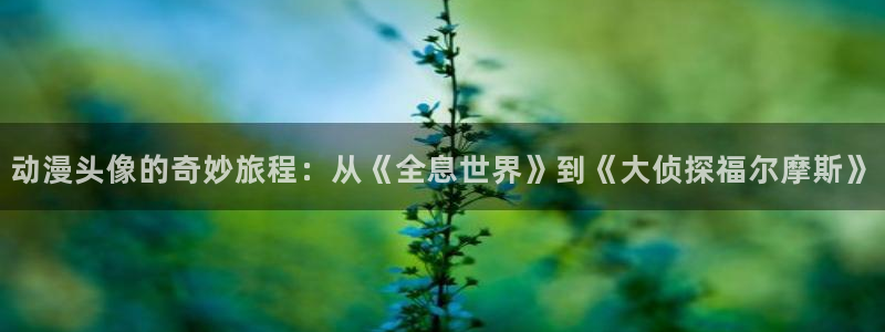 喵趣漫画未删减版：动漫头像的奇妙旅程：从《全息世界》到《大侦探福尔摩斯》